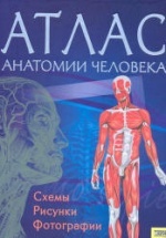 Атлас анатомии человека - Пер. Севастьяновой И.