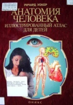 Анатомия человека. Иллюстрированный атлас для детей - Р. Уокер.