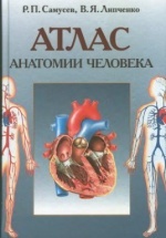 Атлас анатомии человека - Самусев Р.П., Липченко В.Я.