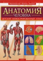 Анатомия человека - Мирер А.И.
