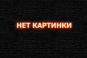Подготовка к вступительным экзаменам в МГУ. Алгебра - Разгулин А.В., Федотов М.В.