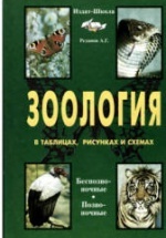 Зоология в таблицах., схемах и рисунках. 7-8 классы - Резанов А.Г.