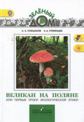 Великан на поляне - Плешаков А.А., Румянцев А.А.